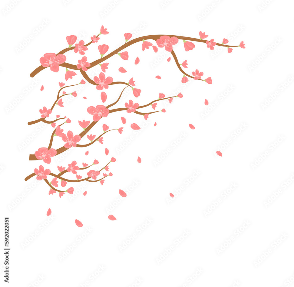 Watercolor sakura frame icon illustration on transparent background