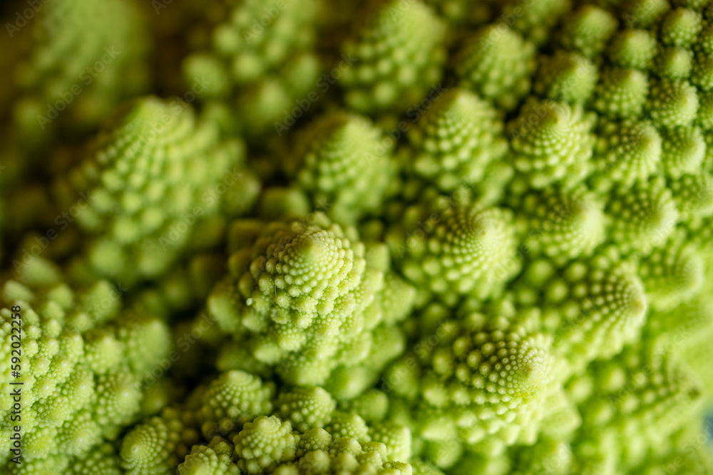 Macro shot of a Romanesco Brassica oleracea cauliflower. Macro shot of a Romanesco Brassica oleracea cauliflower.