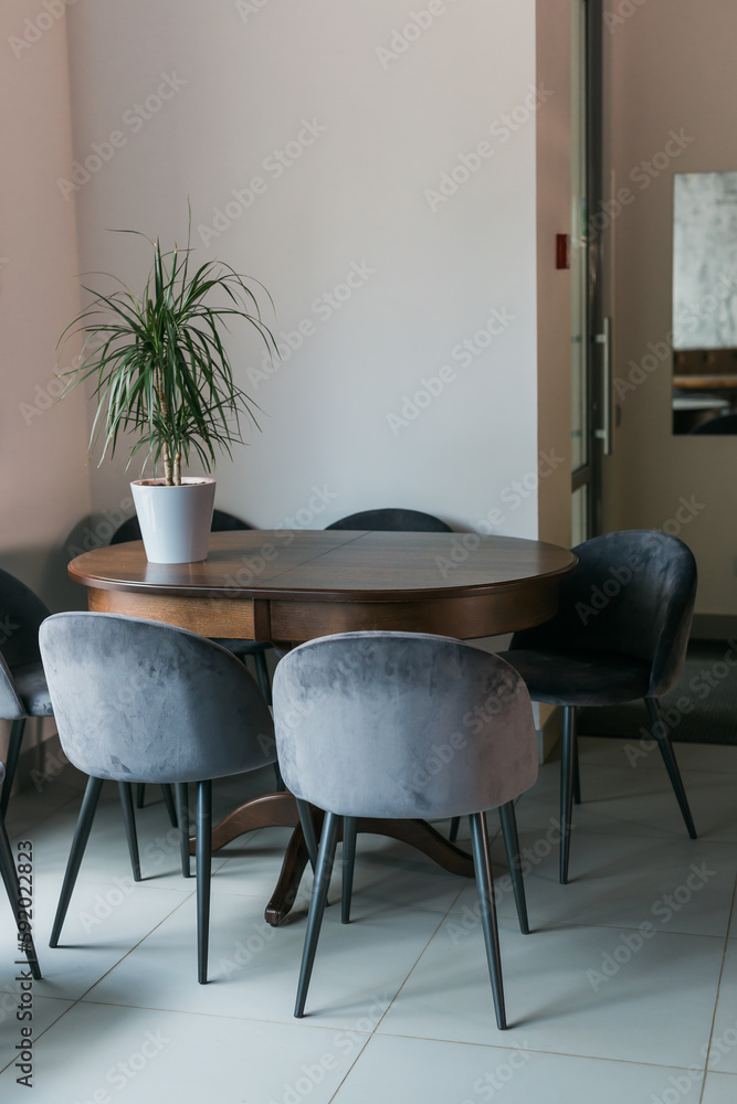 Grey chairs at wooden table and green plant in pot in minimalist cafe interior with poster and window Grey chairs at wooden table and green plant in pot in minimalist cafe interior with poster and window