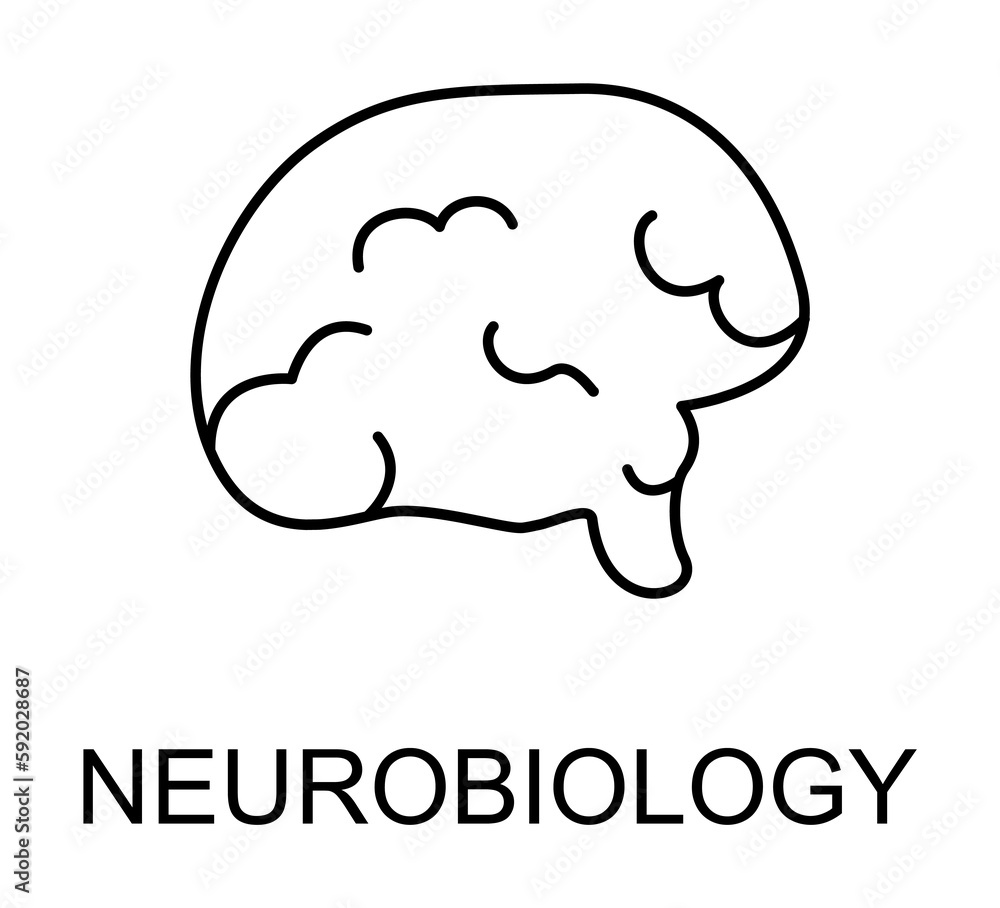 neurobiology line icon illustration on transparent background neurobiology line icon illustration on transparent background