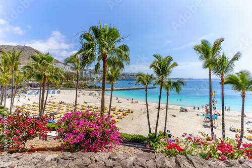 Landscape with Anfi beach,  Gran Canaria, Spain