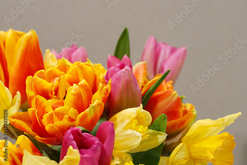 Bouquet of colorful tulips  copy space.