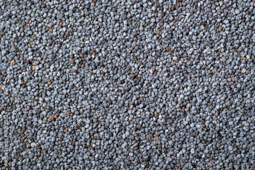 Close up of poppy seed. Background of poppy seed grain used in culinary