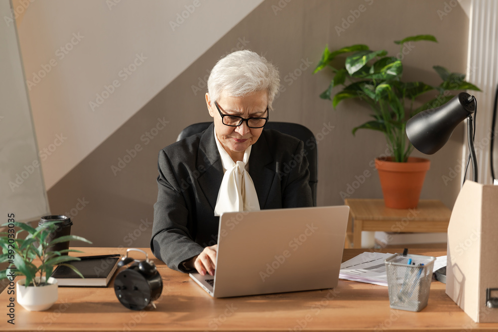 Confident stylish european middle aged senior woman using laptop at workplace. Stylish older mature 60s gray haired lady businesswoman sitting at office table. Boss leader teacher professional worker Confident stylish european middle aged senior woman using laptop at workplace. Stylish older mature 60s gray haired lady businesswoman sitting at office table. Boss leader teacher professional worker