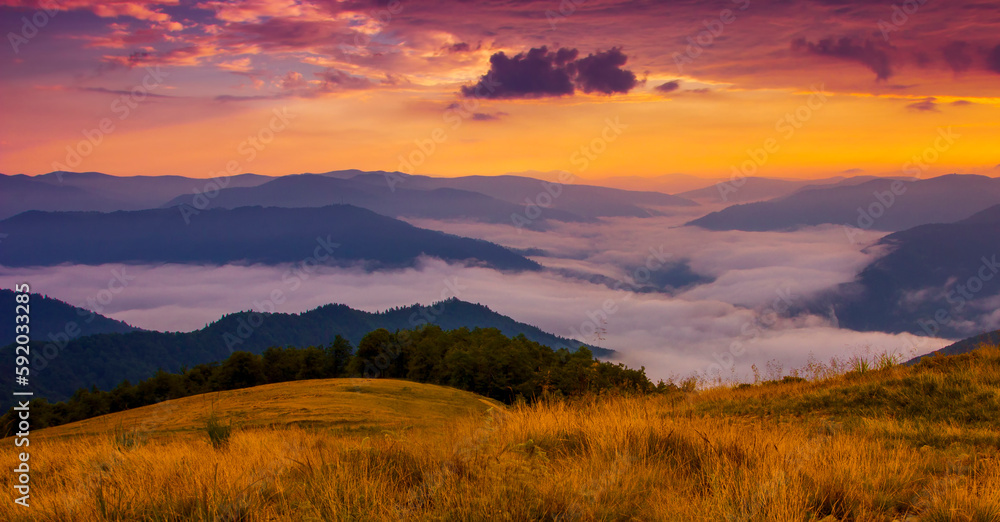 awesome summer foggy scenery, scenic sunset view in the mountains, Carpathian national park, Ukraine, Europe