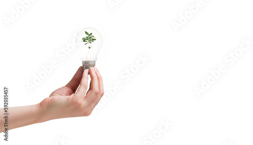 Hand holding environmental light bulb