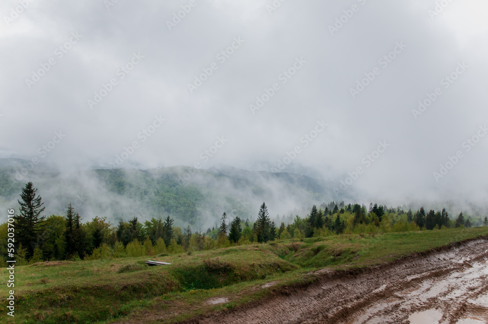 Landscape of mountains, forest against the background of mountains, road after rain against the background of clouds