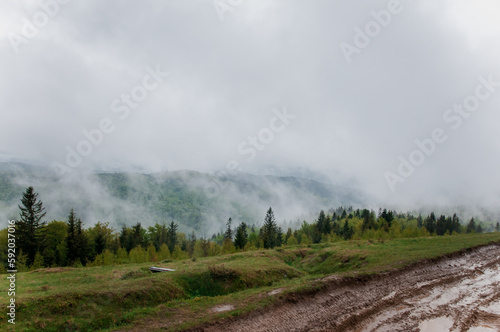 Landscape of mountains  forest against the background of mountains  road after rain against the background of clouds