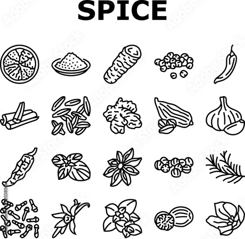spice food herb leaf icons set vector