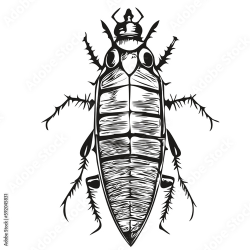 Vector image of silhouette of a cockroach on a white background, cockroaches