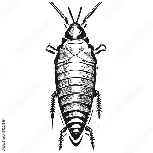 Vintage engrave isolated cockroach illustration cut ink sketch cockroaches