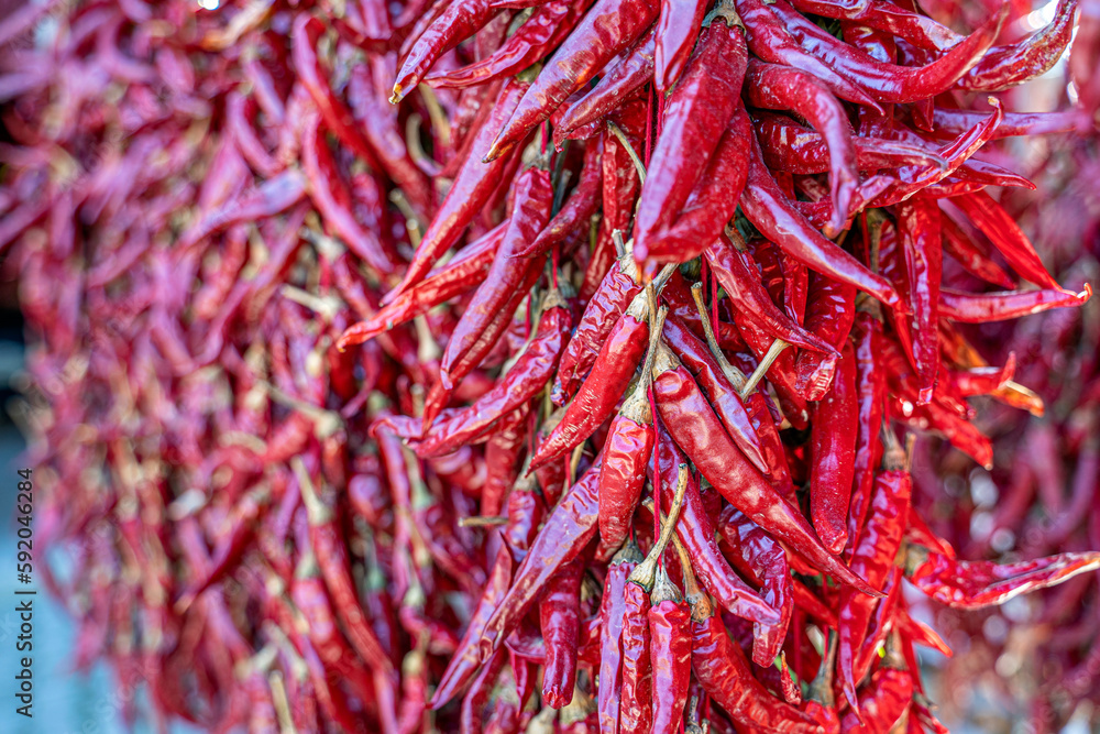 Garlands of paprika in the sunlight. The red peppers were hung on the ceiling of the house to dry.