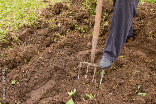 legs in boots with a pitchfork close-up, against the background of the ground. a man digs the ground with a pitchfork. garden work.Farmer man with garden tools