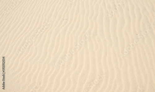 Focus on the sand waves or sand ripples caused by the wind blowing over the sandy beach. 