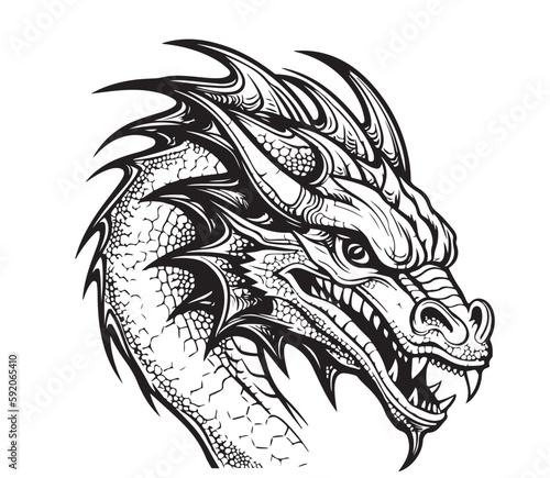 Face of a fantasy dragon sketch illustration Myths and legends