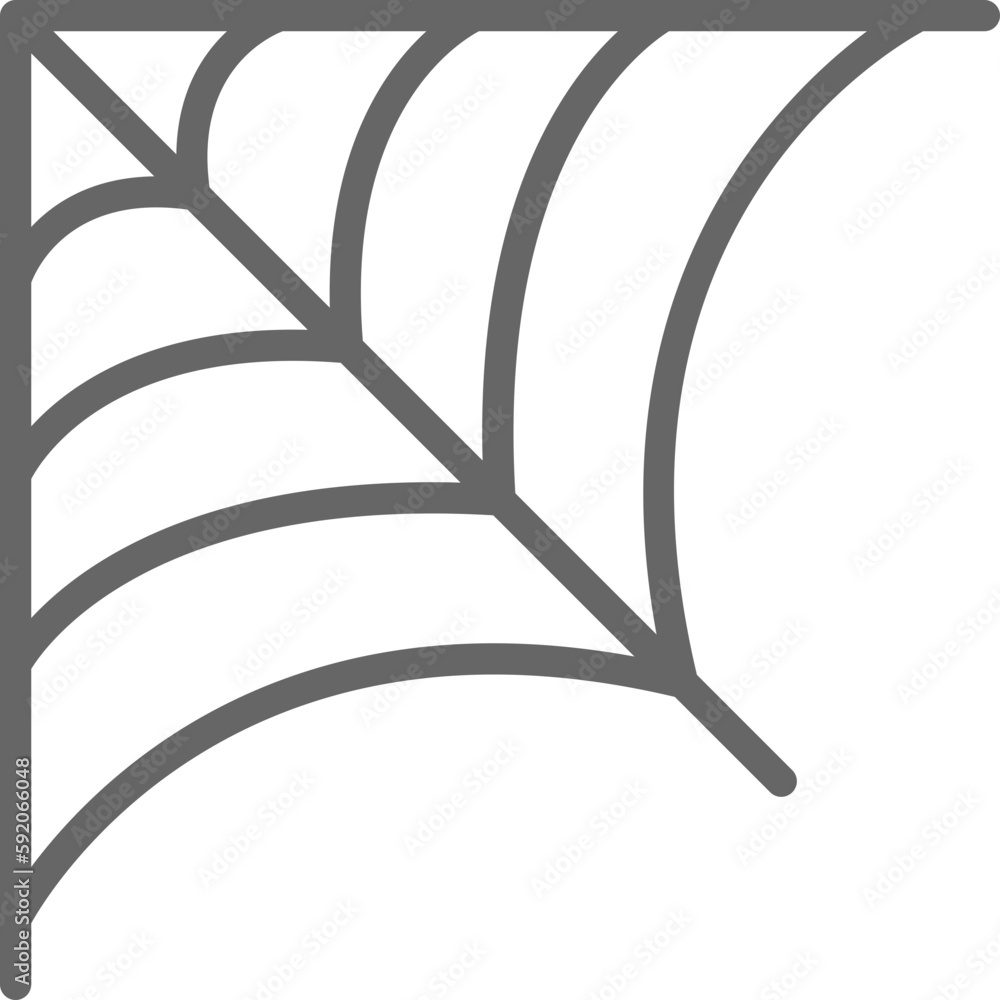 spider web icon