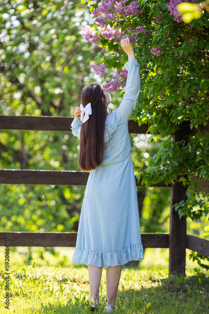 Naklejka premium rear view, girl in dress stands , in the garden nearby lilac bush