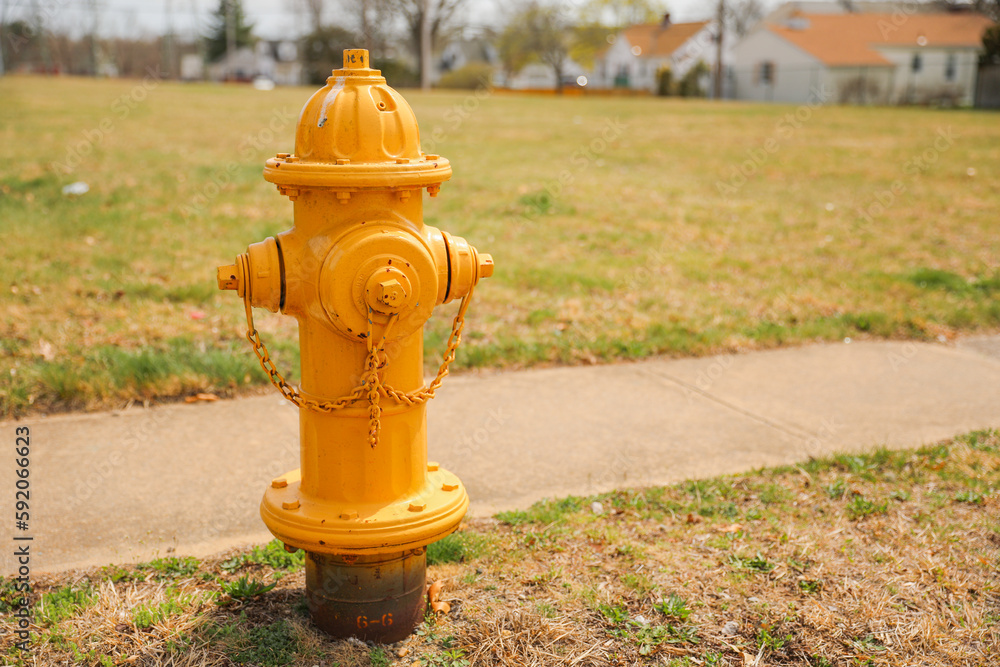 fire hydrant on a street corner, symbolizing the crucial role it plays in ensuring public safety and protecting against the devastating effects of fires