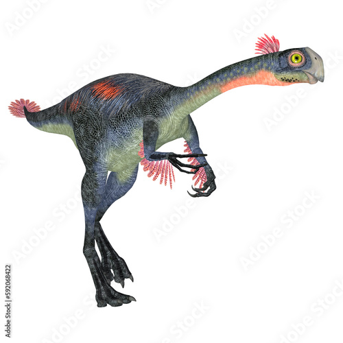Gigantoraptor Feathered Dinosaur - Gigantoraptor was a theropod dinosaur that lived in Inner Mongolia, China in the Cretaceous Period. © Catmando