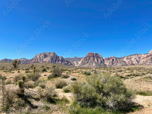 Desert landscape near Red Rock Canyon