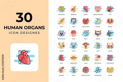 Human Organs icons Collection. medical icons,  	anatomy, artery, bladder, body, bones, brain, digestive, female, growing, hair, heart, human, internal, intestine, kidney, liver, lungs, male, organ, Ov