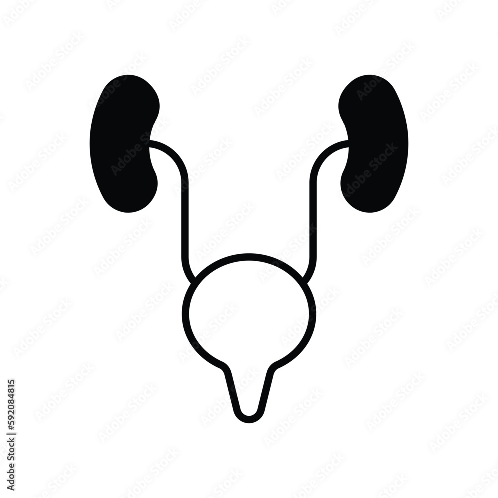 Fototapeta premium Ureters icon. Suitable for Web Page, Mobile App, UI, UX and GUI design