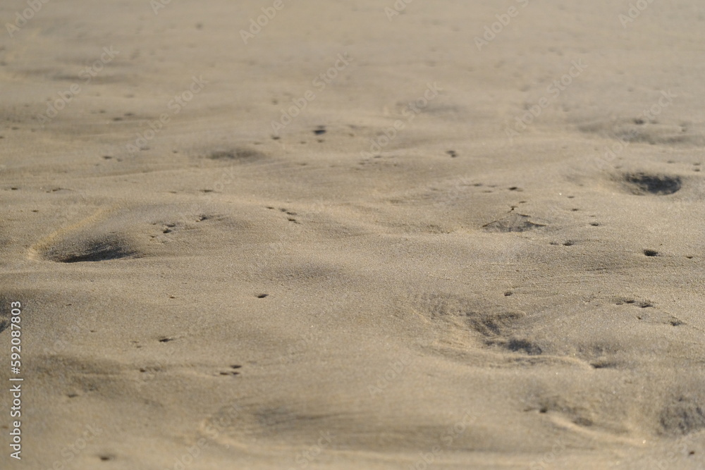 close-up of sandy beach close-up of sandy beach