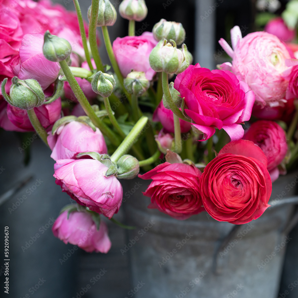 Fototapeta premium Bouquet of pink ranunculus and red rose