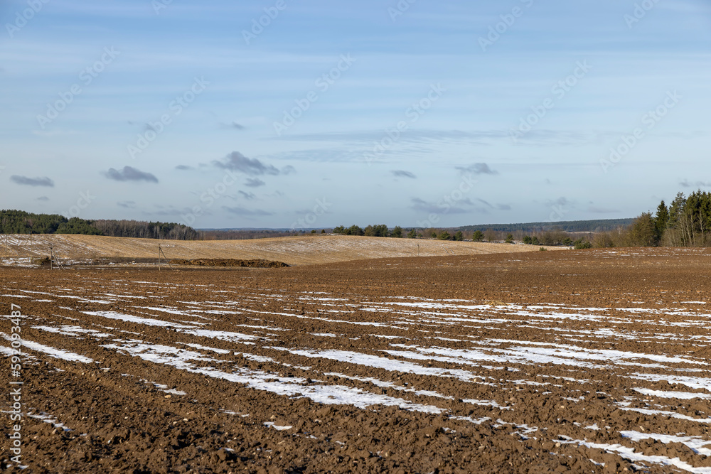 agricultural field for planting plants in winter
