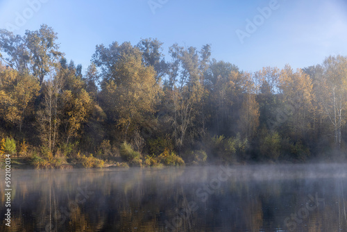Trees and fog in the morning in autumn