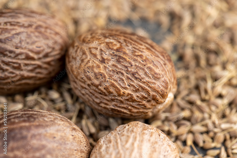 fragrant whole nutmeg in the kitchen fragrant whole nutmeg in the kitchen