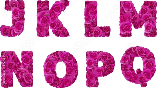 font with pink roses