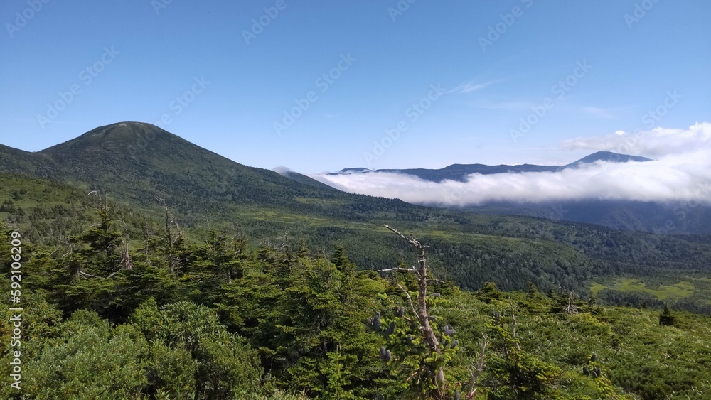 Fototapeta premium 青森県の八甲田山にある八甲田ゴードラインでのトレッキング風景