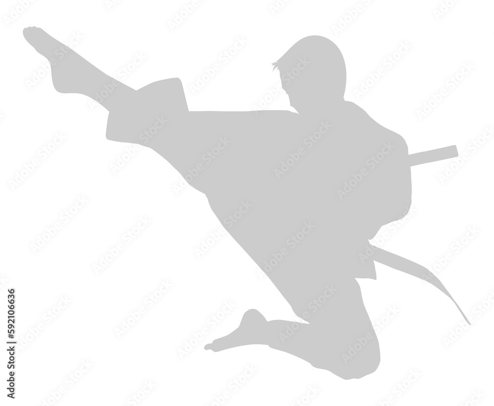 Silhouette of Martial Artist Kick (Taekwondo, Karate, Pencak Silat, Kungfu) for Logo or Graphic Design Element. Format PNG Silhouette of Martial Artist Kick (Taekwondo, Karate, Pencak Silat, Kungfu) for Logo or Graphic Design Element. Format PNG