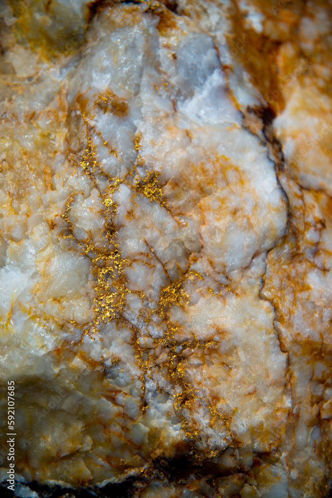 Visible Gold in Quartz Vein - Australia Visible Gold in Quartz Vein - Australia