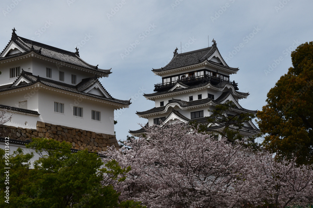 桜越しに見る福山城 桜越しに見る福山城