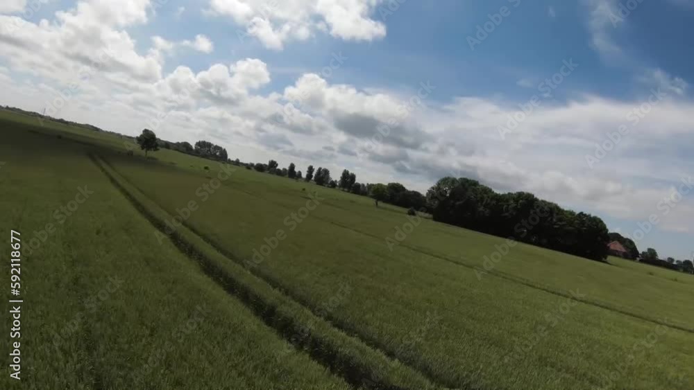 drone flight over a field with a tree drone flight over a field with a tree