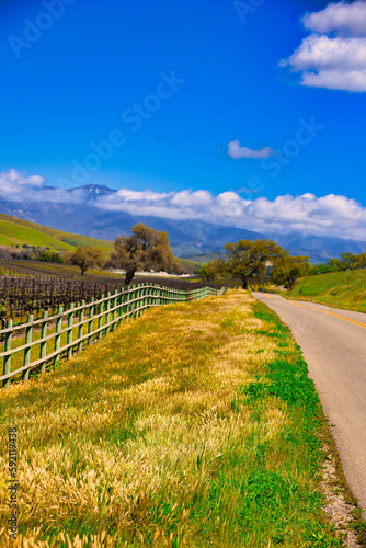 Santa Ynez spring landscapes with widflowers  photo