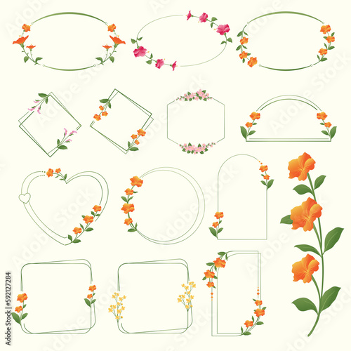 set of frame elements