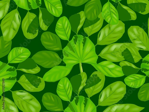 Leaves