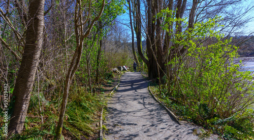 Enjoying a walk on Shoreline Trail, Port Moody, BC, on a clear day at the cusp of Spring. photo