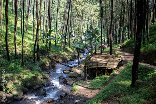 the beauty of the river flow in the mountains surrounded by tropical rainforest