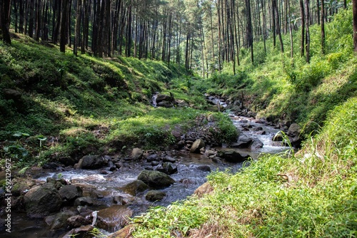 the beauty of the river flow in the mountains surrounded by tropical rainforest