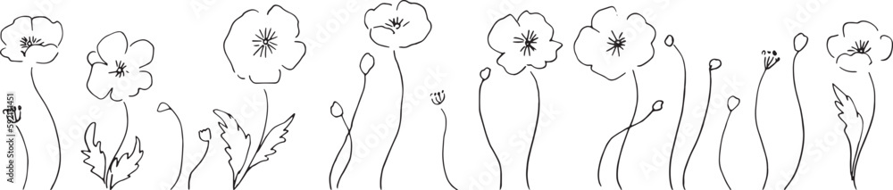 線画。線画タッチのポピーの花のベクターイラスト。 線画。線画タッチのポピーの花のベクターイラスト。