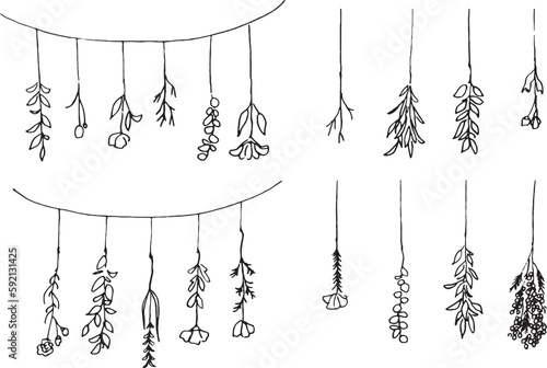 線画。線画ベクターイラスト。ナチュラルイメージの植物背景。
