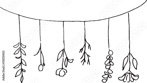 線画。線画ベクターイラスト。ナチュラルイメージの植物背景。Line drawing. Line drawing vector illustration of swag. Plant background with natural image.