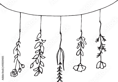 線画。線画ベクターイラスト。ナチュラルイメージの植物背景。