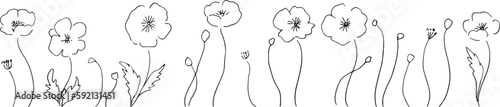線画。線画タッチのポピーの花のベクターイラスト。