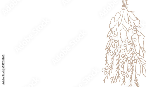 線画。線画ベクターイラスト。ナチュラルイメージの植物背景。Line drawing. Line drawing vector illustration of swag. Plant background with natural image.