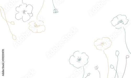線画。線画タッチのポピーの花のベクターイラスト。